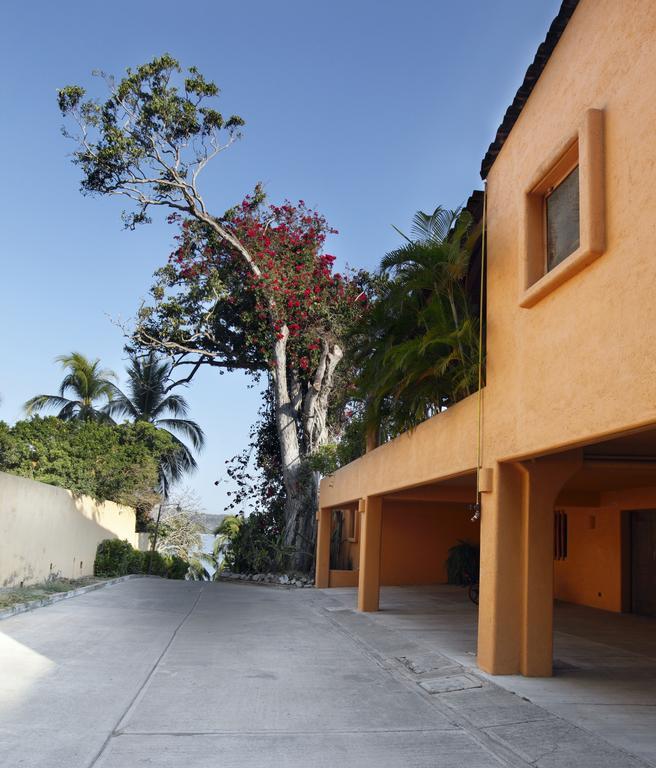 Hotel Casa Don Francisco Ixtapa  Rom bilde